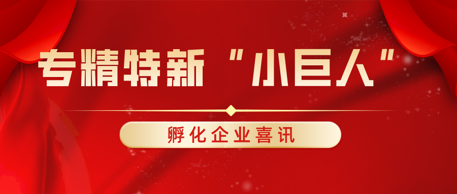 多家u8国际孵化企业荣登第四批国家级专精特新“小巨人”企业名单